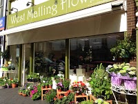 West Malling Flowers 1081198 Image 0
